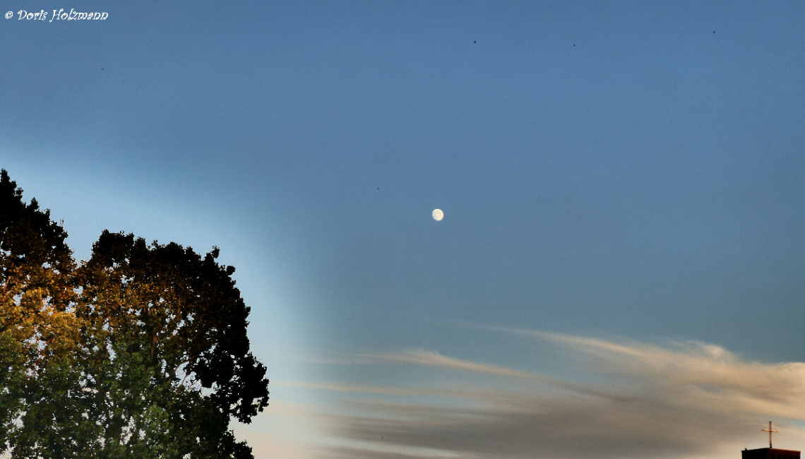 the moon