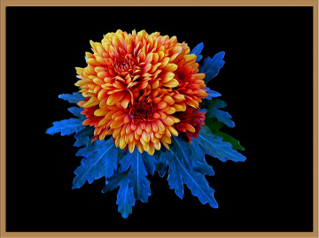 BLÜTEN
