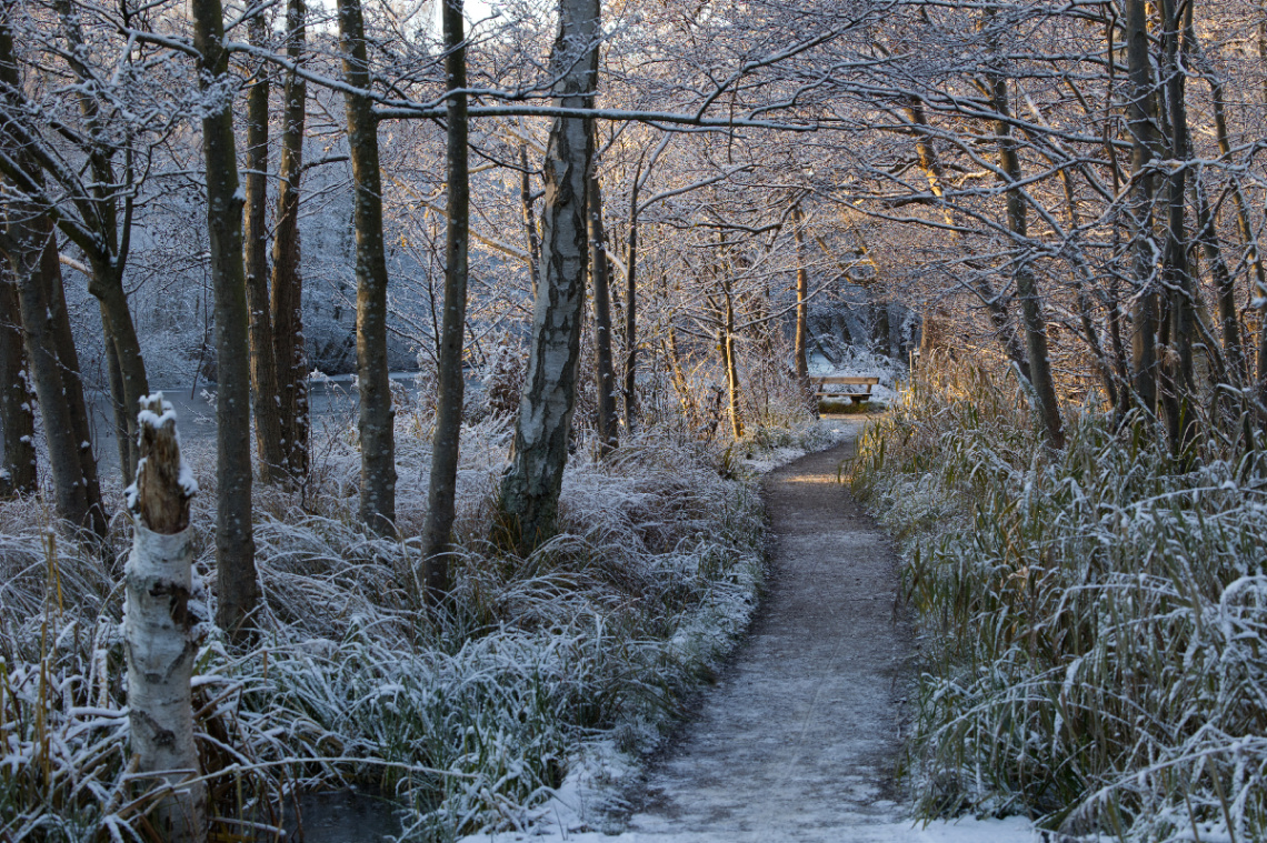 Vinter i Lyngby - Danmark