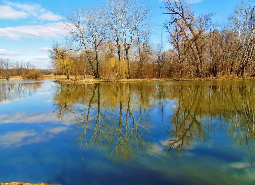 AT THE POND