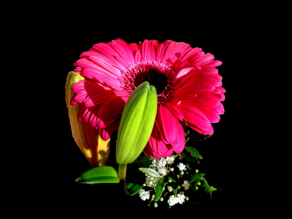 BLÜTEN