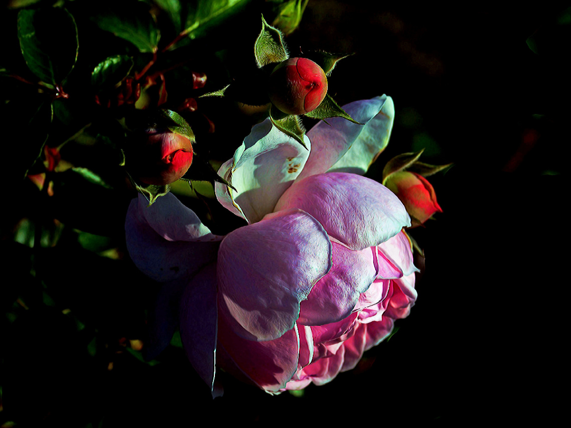 BLÜTEN