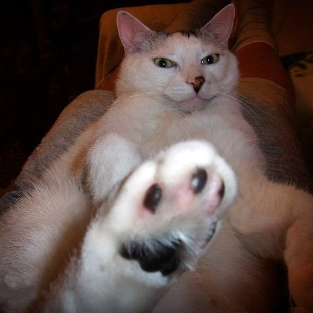 TAKE CARE. I AM ANGRY!