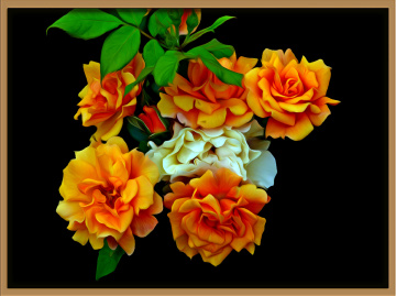 BLÜTEN