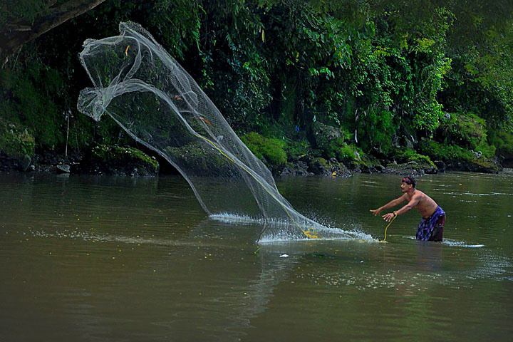 jala ikan
