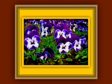 BLÜTEN
