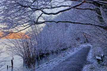 Vinter i Lyngby - Danmark