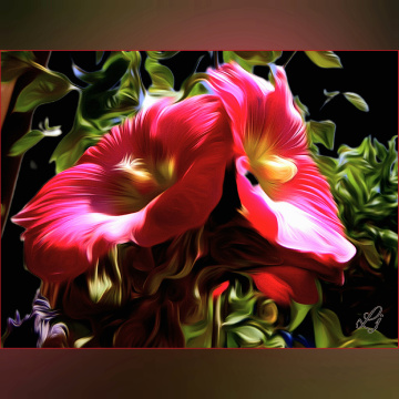 Glowing twins