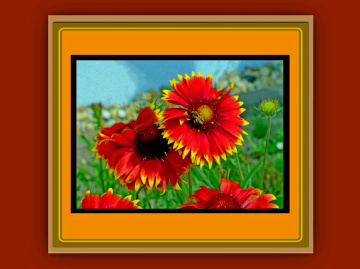 BLÜTEN