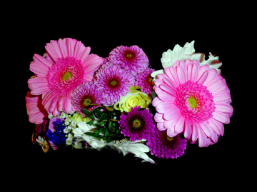BLÜTEN
