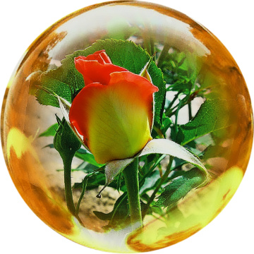 Lense editting 