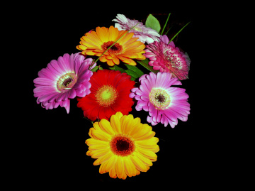 BLÜTEN