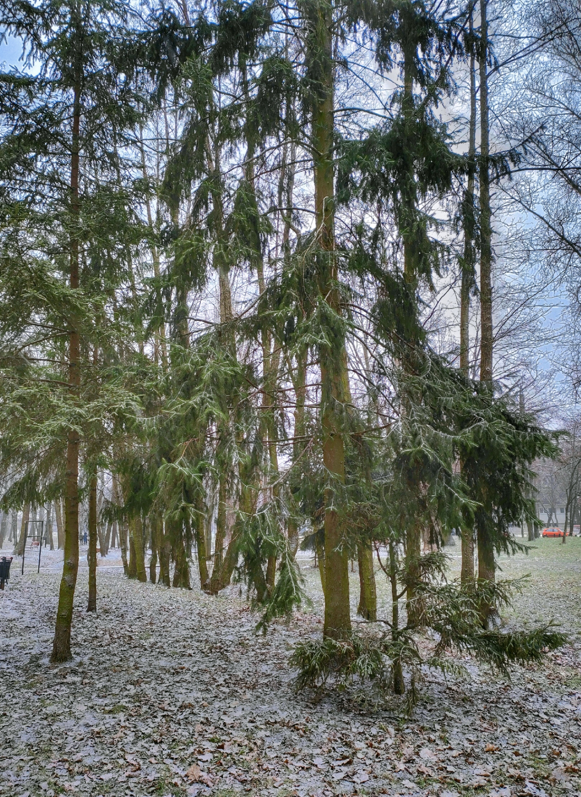 FROSTY PARK