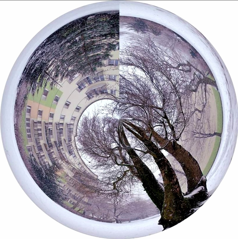 IN THE LENS