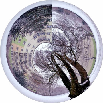 IN THE LENS