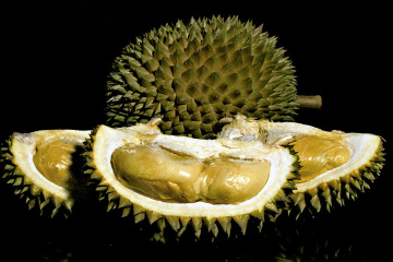 durian
