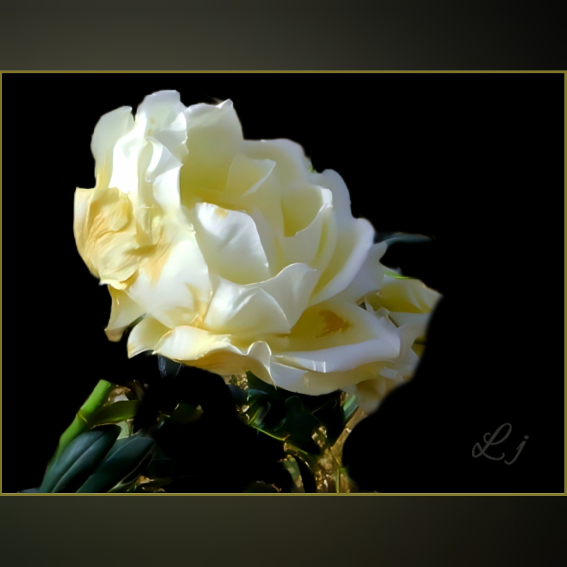 For you ❤️⚜❤️