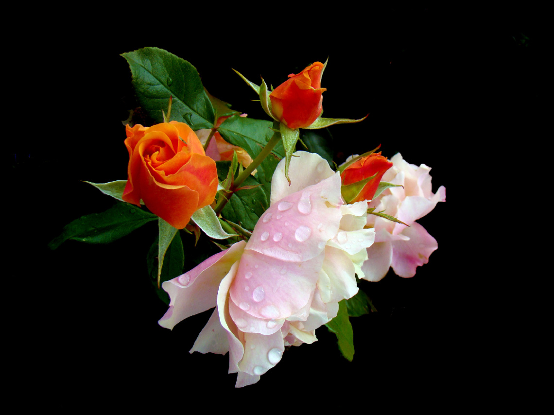 BLÜTEN