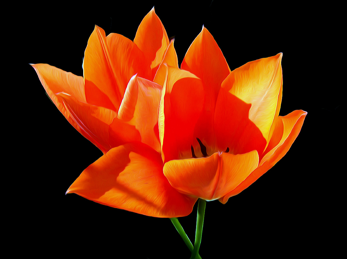 BLÜTEN