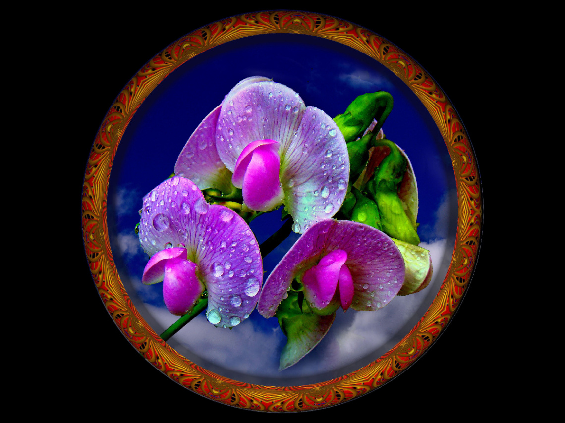 BLÜTEN