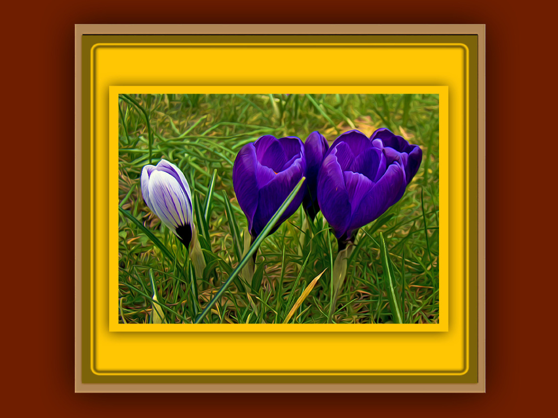 BLÜTEN