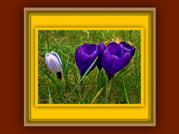 BLÜTEN
