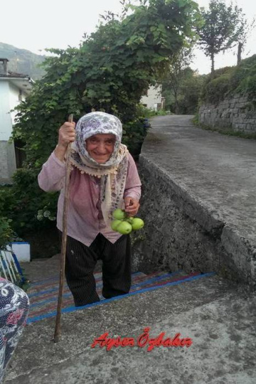 YAŞ 88 FAKAT AĞAÇTAN ELME TOPLAYIP İKRAM EDEN ANNE