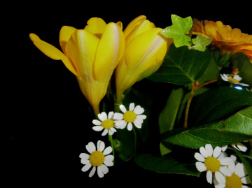 BLÜTEN