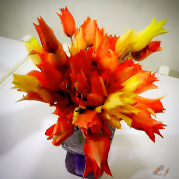 Gwarikh Flowers in Pot