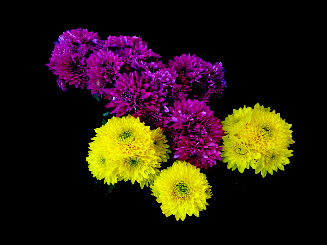 BLÜTEN