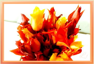 Bouquet for you... 