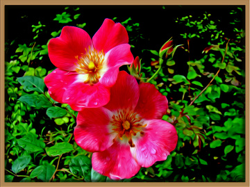 BLÜTEN