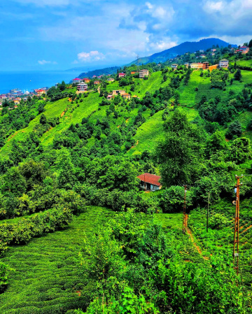 KÖYÜME BAŞKA AÇIDAN BAKMAK