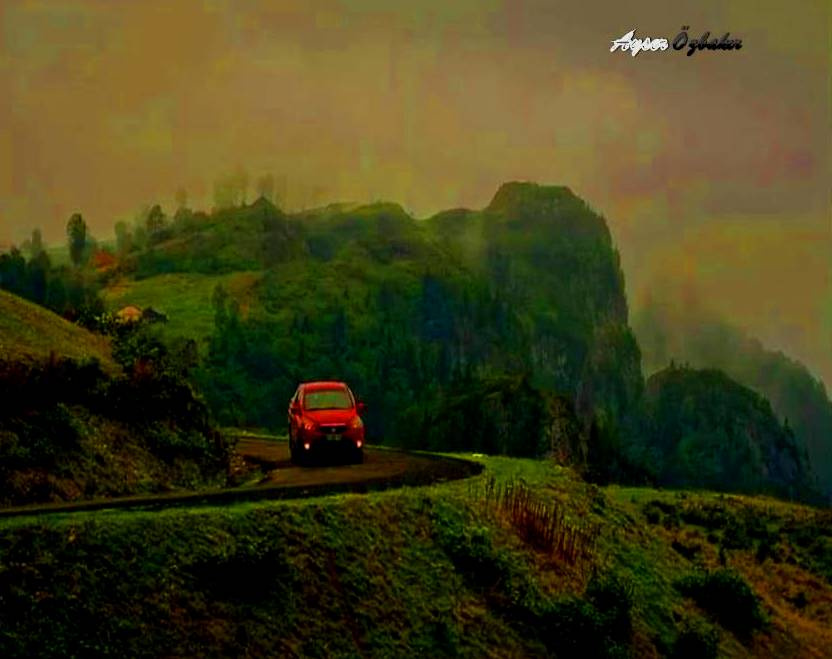 YAYLA DÖNÜŞÜ