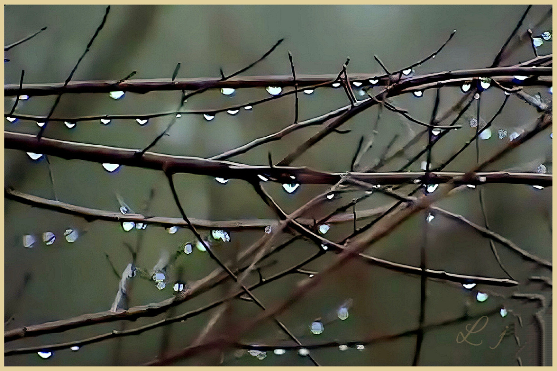 Wet
