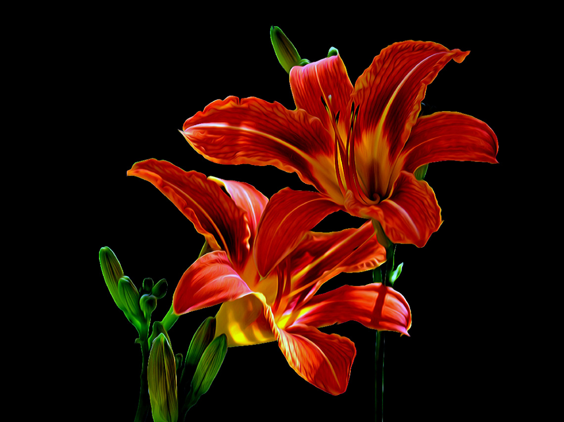BLÜTEN