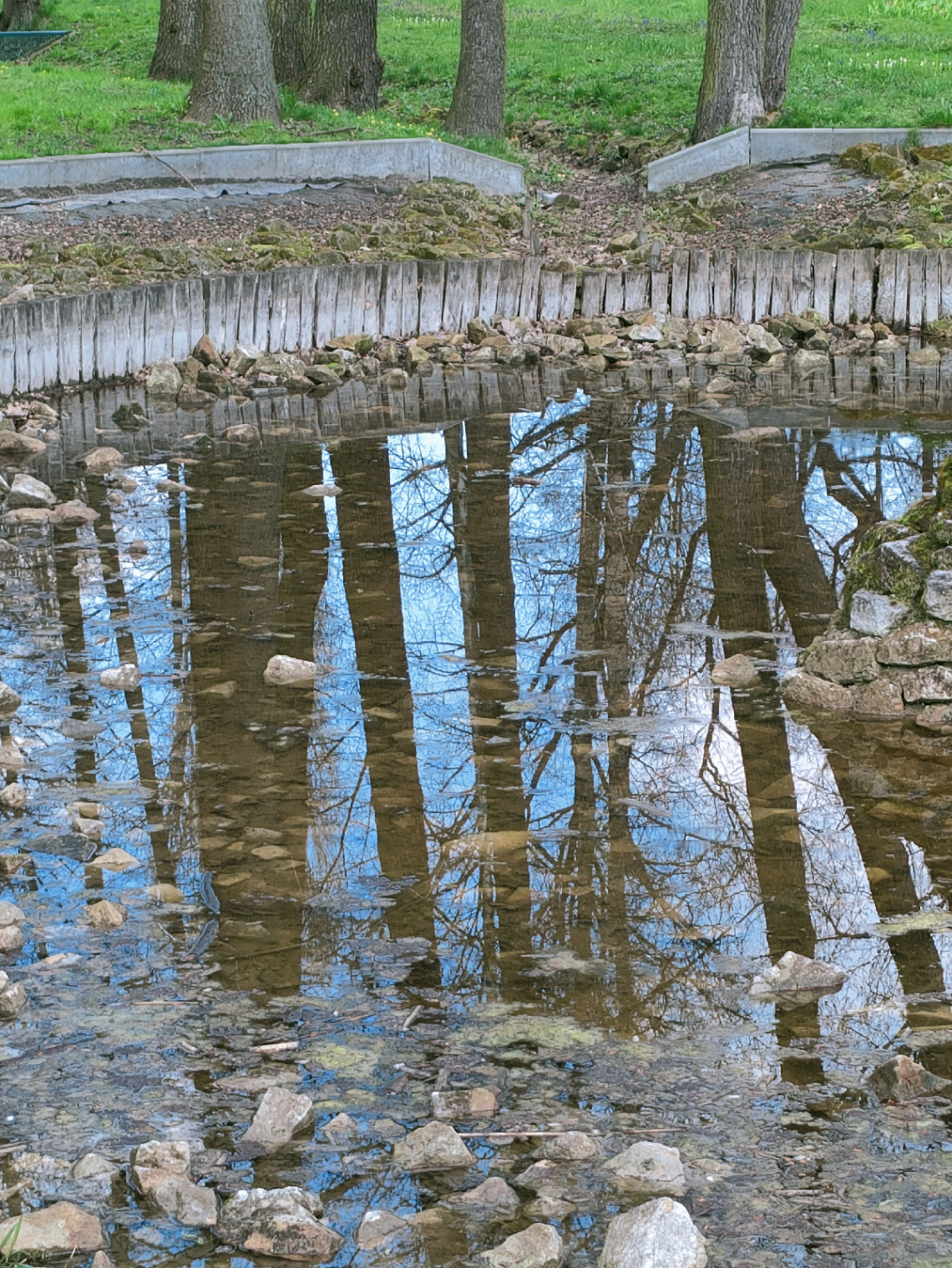 REFLECTIONS  IN THE POND