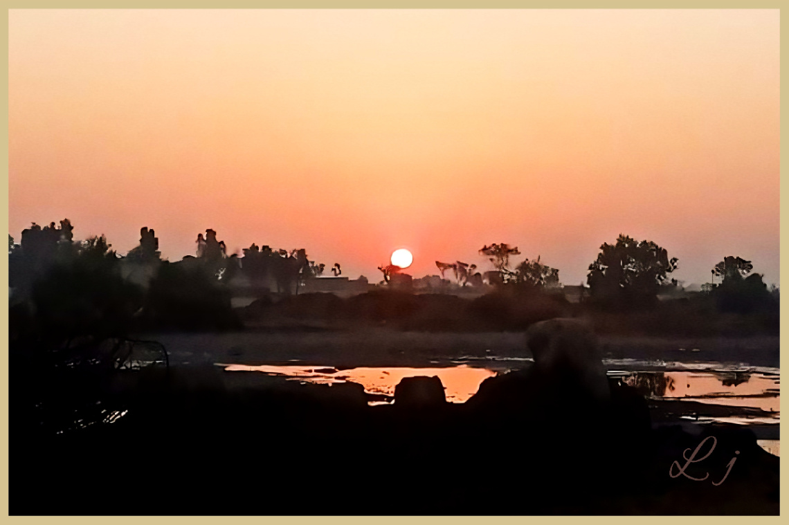 Village Sunset ⚜