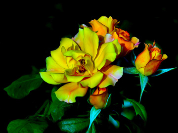 BLÜTEN