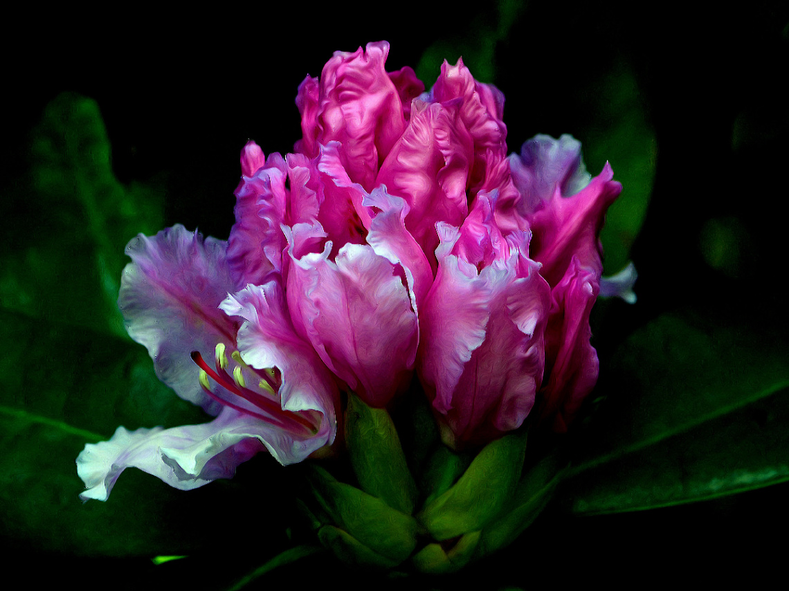 BLÜTEN