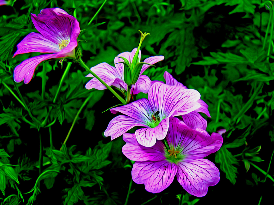 BLÜTEN