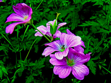 BLÜTEN