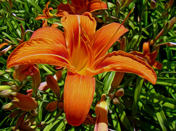BLÜTE
