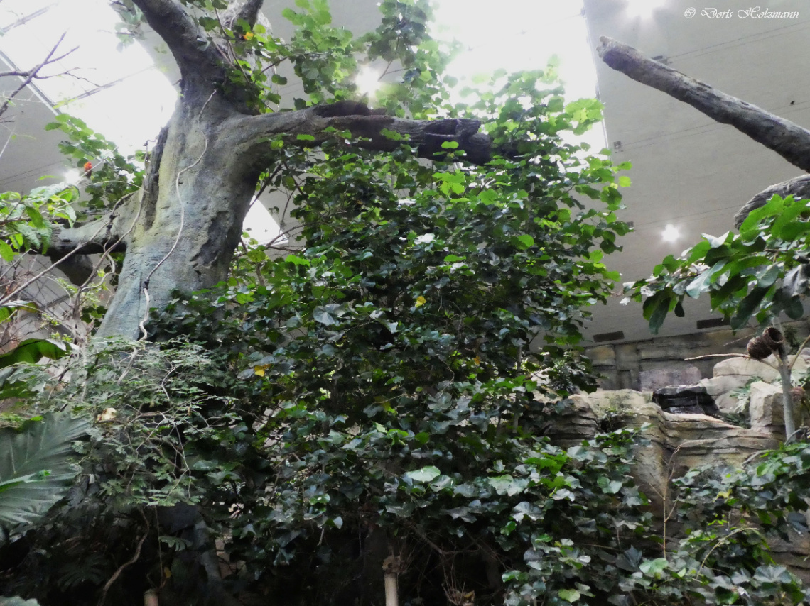 Exotic House of Karlsruhe Zoo / Germany