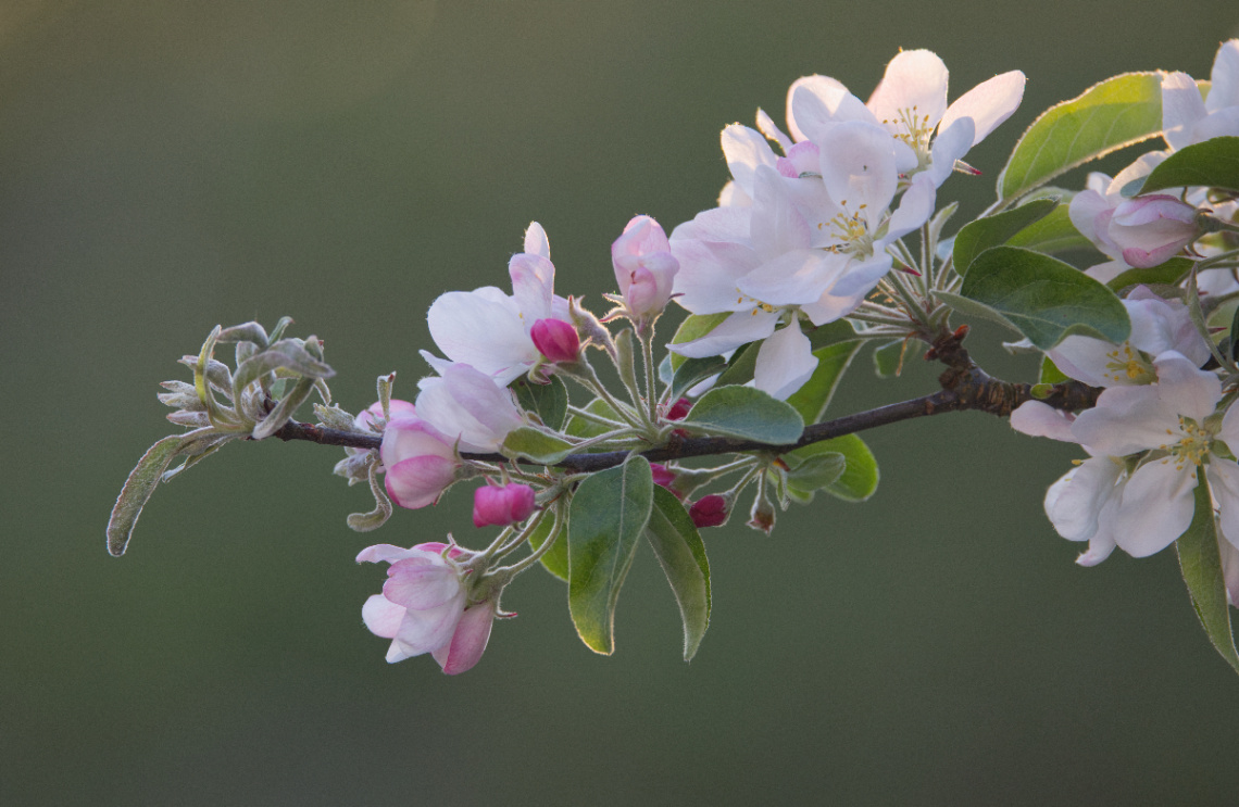 Lyngby - Danmark - Maj 2023.