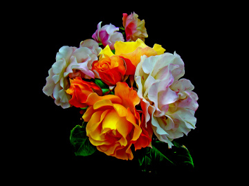 BLÜTEN