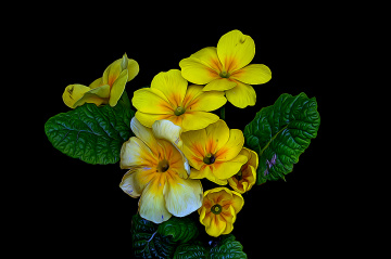 BLÜTEN