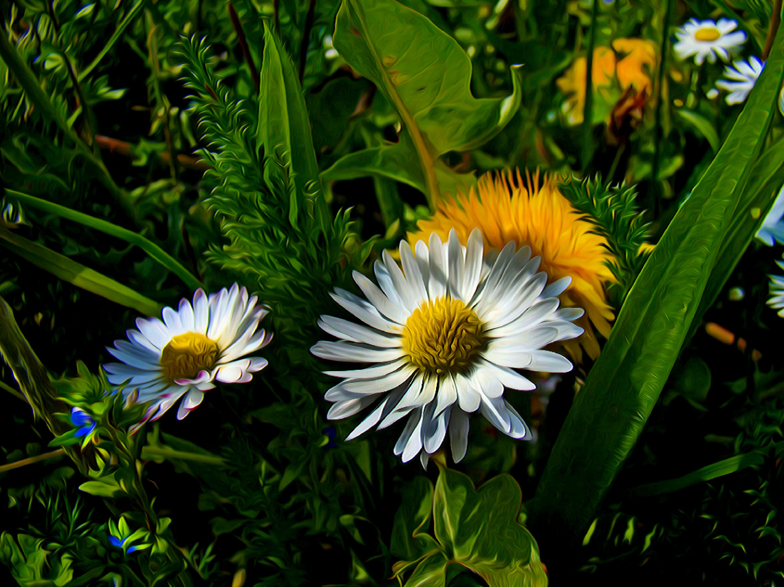BLÜTEN