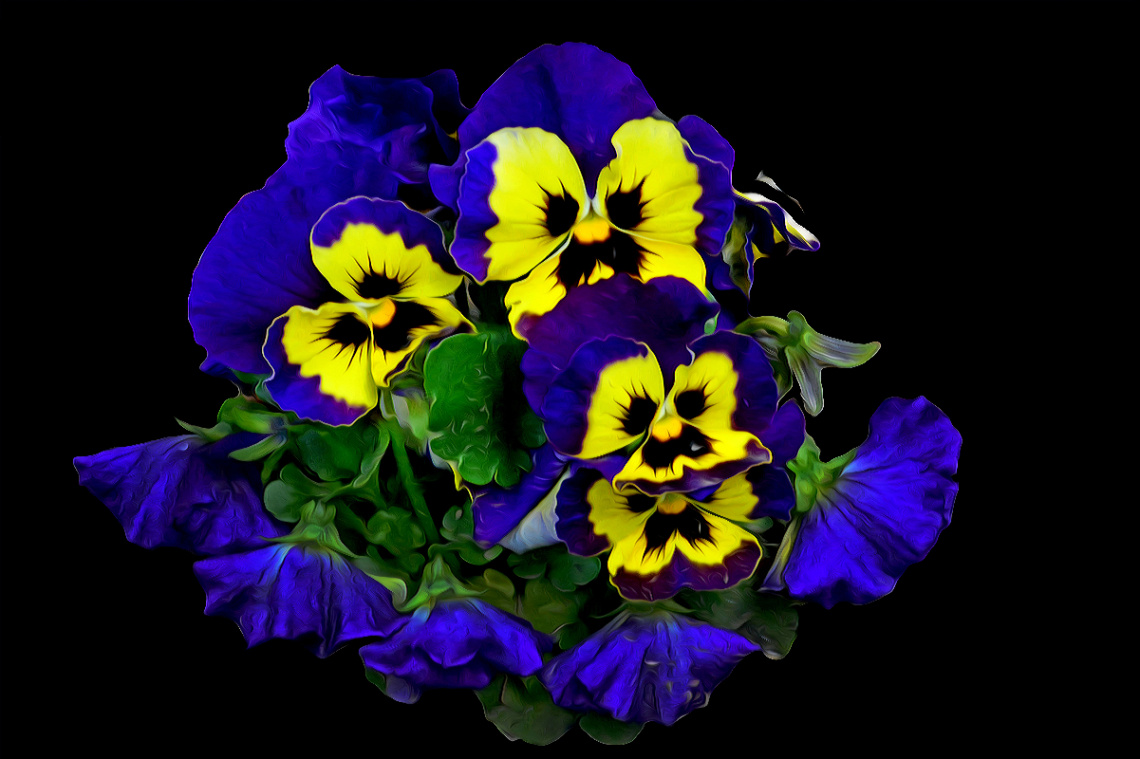 BLÜTEN