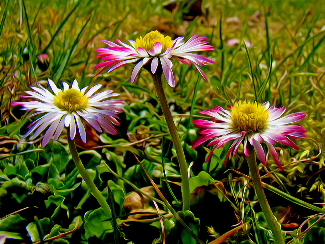 BLÜTEN